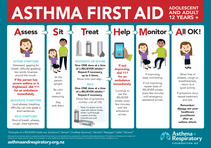 Asthma aid first emergency attack nurses guide nursebuff practical treatment quotes symptoms helpful non article Asthma aid first emergency attack nurses guide nursebuff practical treatment quotes symptoms helpful non article