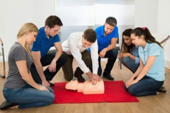 Cpr aid training first health dorsey schools month heart over